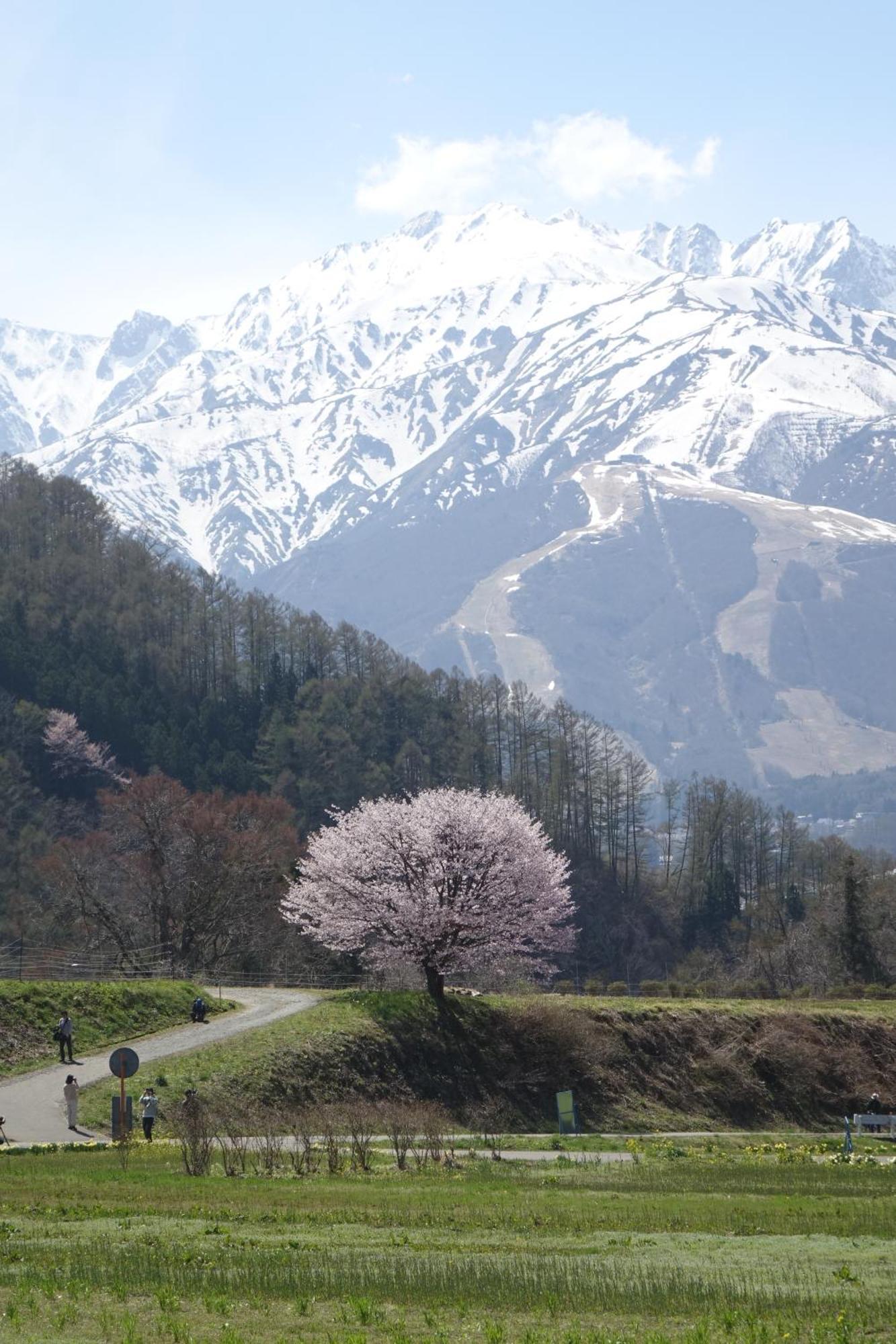 Country Inn Kashiwabara Hakuba Exteriér fotografie